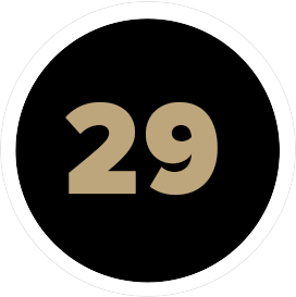 29 лет опыта